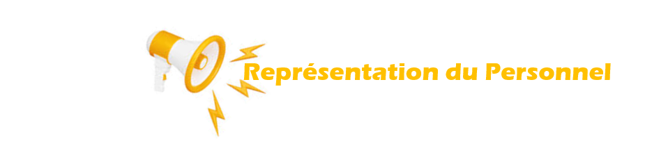 Statut du Représentant syndical à un Comité de groupe